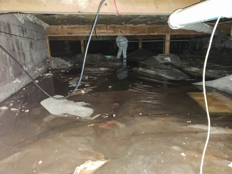 Basement Flooding Cleanup