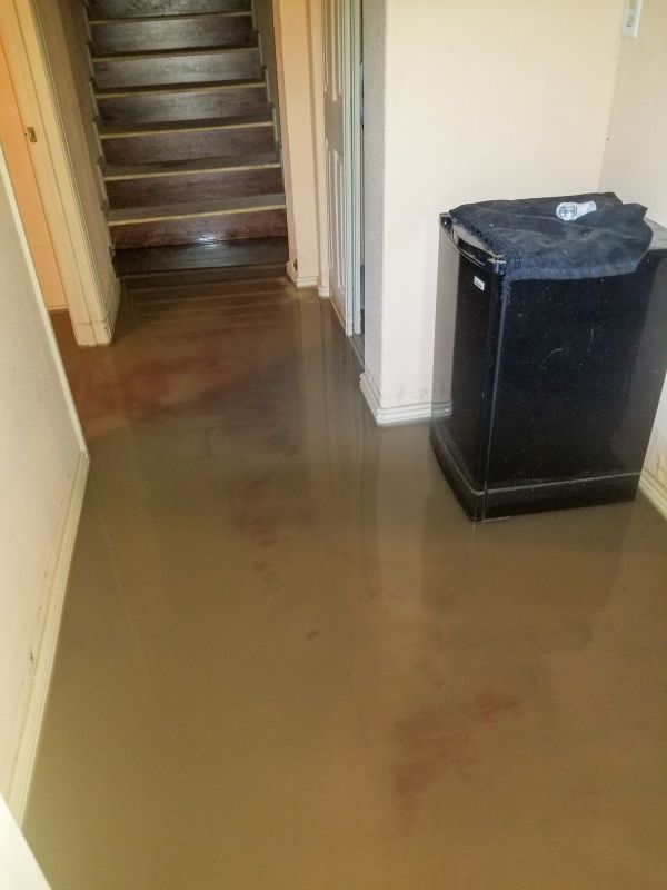 Basement Flooding Cleanup