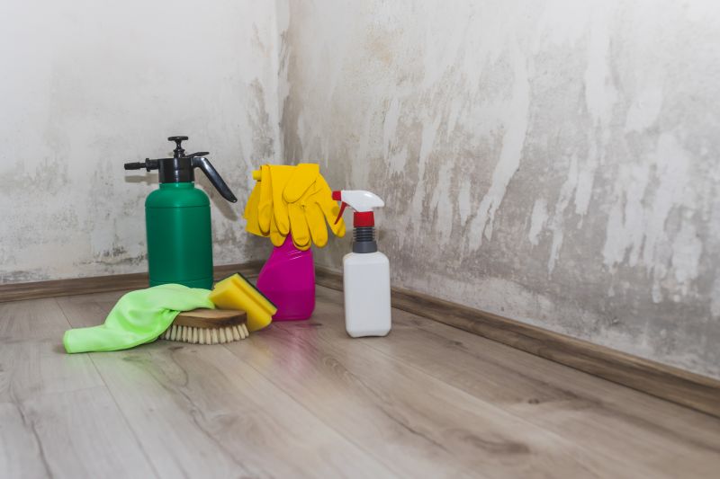 Mold Remediation Process