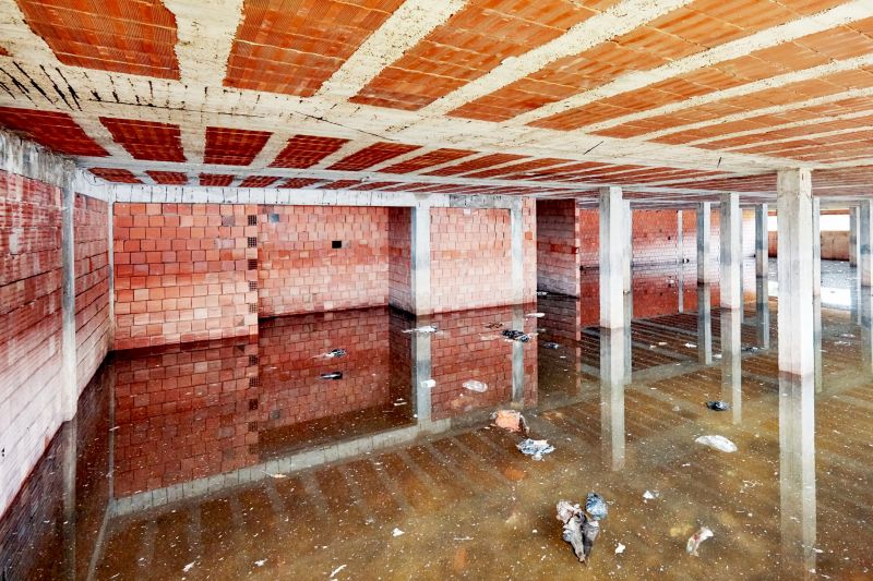 Flooded Basement Scene