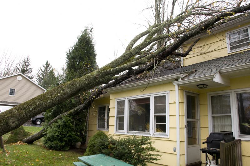 Storm Recovery Service in Wilmington, NC