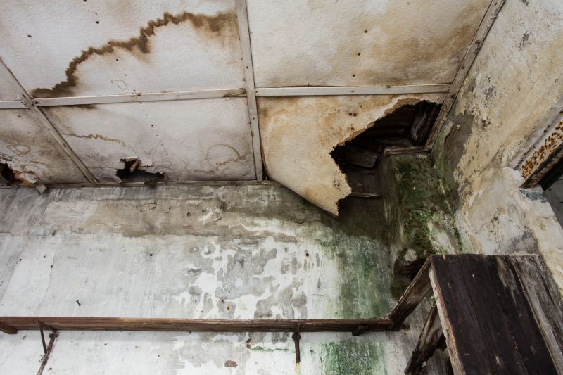 Water Damage Cleanup in Phoenix, AZ
