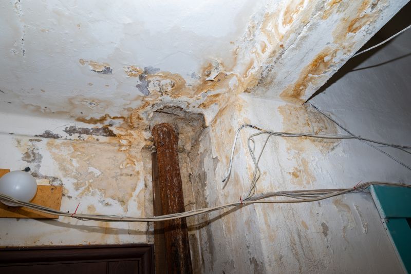 Water Damage Remediation in Wilmington, NC