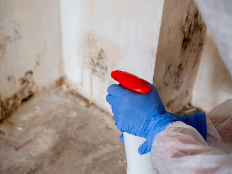 Mold Prevention Techniques